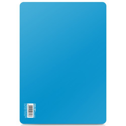 deli 得力 实色复写板/书写垫板 学生会议考试垫板 办公用品 A5(198*148mm)蓝色