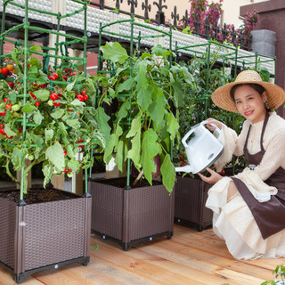 家庭阳台种菜神器蔬菜专用箱种植箱楼顶架长方形塑料花盆特大清仓