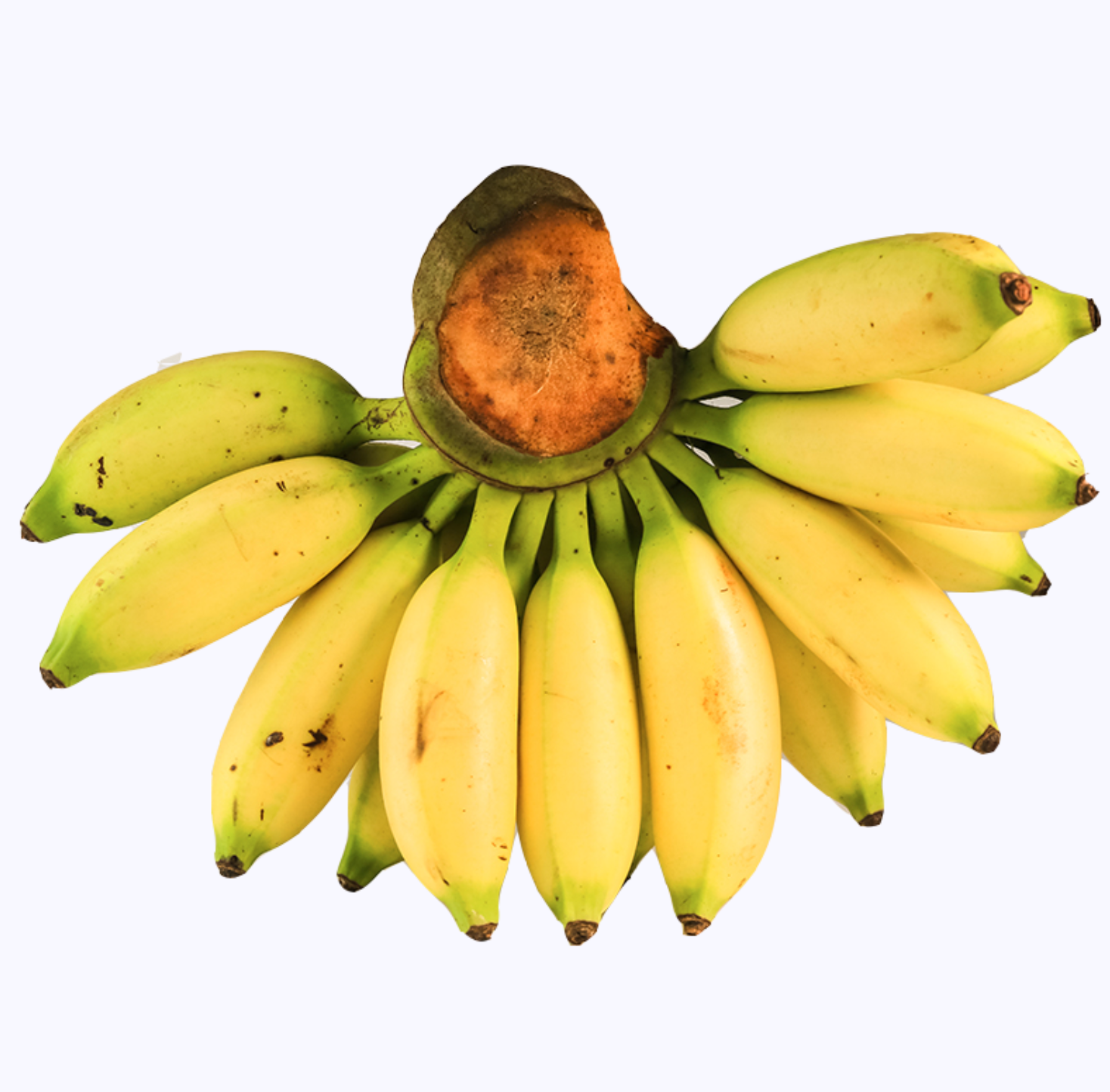 什么值得买_商品百科 | 优质产品百科全书_值得信赖的产品库