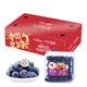  佳沃 云南蓝莓超大果（18mm+）125g*4盒*3件 + 库尔勒香梨 2.5kg　