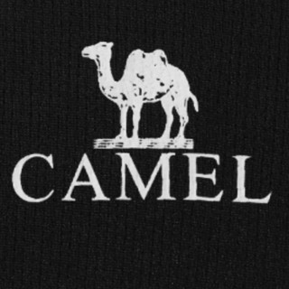 CAMEL 骆驼 男子POLO衫 A1S2RL105 幻影黑 M