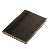 Muulee 木雷 600-BJB 纸质笔记本 B5 羊巴皮款 黑色 单本装