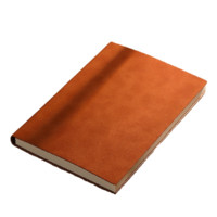 Muulee 木雷 600-BJB 纸质笔记本 A5 羊巴皮款 棕色 单本装