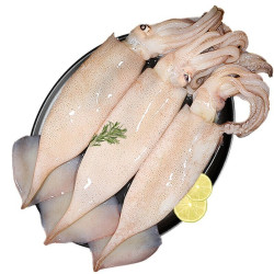 上麟记x店国产海捕整条大鱿鱼500g23条袋装烧烤火锅食材海鲜水产