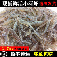 林中山 青岛鲜活速冻淡水小河虾小白虾大河虾鲜活冷冻小河虾小明虾新鲜 小河虾2斤（1cm-3cm左右）