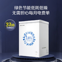 Hisense 海信 100升冰柜冷柜家用小型卧式迷你低噪节能BD/BC-100N/A
