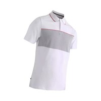 DECATHLON 迪卡侬 520系列 男子POLO衫 8556153 雪白/灰色 L