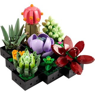 LEGO 乐高 植物系列 10309 肉质植物