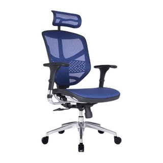 Ergonor 保友办公家具 B-HAM 人体工学电脑椅 蓝色 尼龙脚款 配网布坐垫