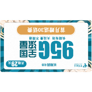 CHINA TELECOM 中国电信 5G长期翼卡B 29元/月