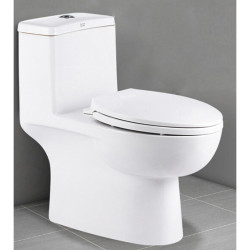 【省240元】直排式抽水马桶_american standard 美标 2079 直排式马桶