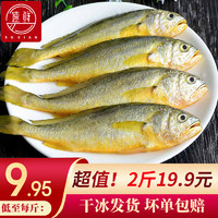 SuXian 速鲜 东海冷冻活冻小黄花鱼 海鲜水产 1000g  袋装 海鲜黄鱼