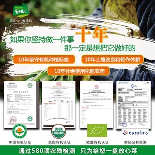 有机汇 生态原产地有机韭菜 头刀春韭 欧盟美国中国有机认证 新鲜放心食材 无农残无激素化肥生鲜 500g