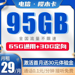 CHINA TELECOM 中国电信 樱木卡 29元月租（65GB通用流量+30GB定向流量）长期套餐