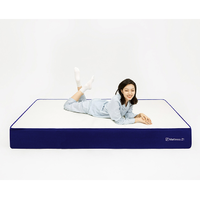 蓝盒子 床垫1.5软垫家用出租房海绵床垫家用席梦思床垫厚双人大床