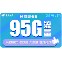 CHINA TELECOM 中国电信 长期翼卡B 29元月租（65G通用、30GB专属）