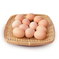 百运通 精选鲜鸡蛋 10个 初生蛋