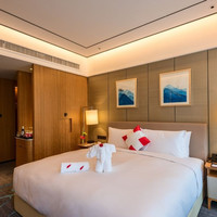 南京瑞斯丽酒店豪华大/双床房
