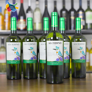 Andes 安第斯 斯翠鸟 长相思干白葡萄酒 750ml  6支装整箱