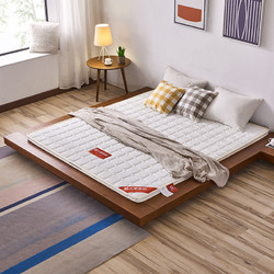 AHOME A家家具 简约现代椰棕床垫 天然硬棕垫薄海绵记忆棉1.5米1.8米棕榈卧室家具 CD105