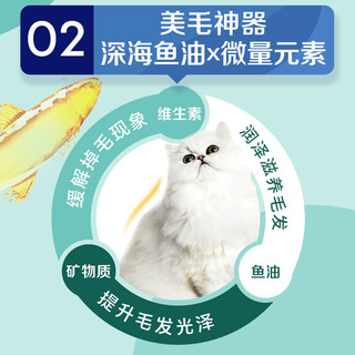 椰子油系列 三文鱼味猫罐头 170g