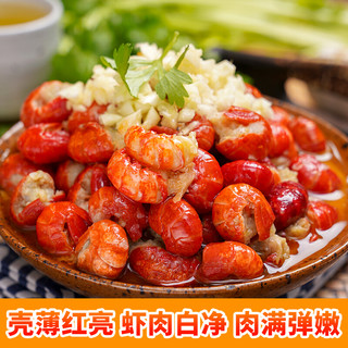 鲜尝态 蒜泥小龙虾750g 净虾500g/15-25只 4-6钱中号 鲜活制作解冻即食生鲜方便菜 冷冻蒜蓉味龙虾可剥虾尾 蒜蓉小龙虾尾252g