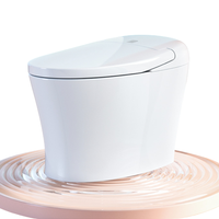 diiib 大白 DXMT040-400 智能马桶一体机 400mm坑距