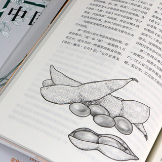 《中国的蔬菜：名称考释与文化百科》