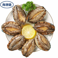 海渔链 冷冻大鲍鱼 海鲜水产贝类生鲜火锅食材 4-6头特大鲍鱼/500g