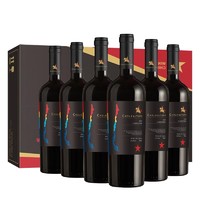 CHILEAUTARO 智利原瓶进口 中央山谷产区 黑智利星 珍藏干红葡萄酒750ml*6 礼盒装