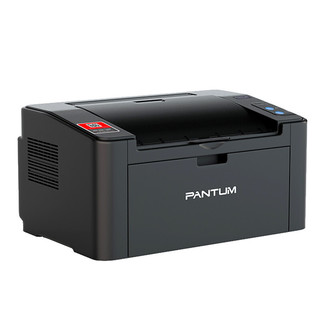 PANTUM 奔图 P2206W 黑白激光打印机