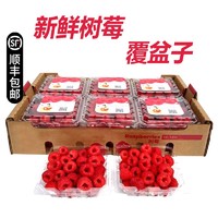 新鲜树莓 覆盆子 怡颗莓 新鲜水果树莓黑莓只限北京 红树莓110gg*2盒子