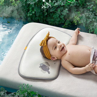 babycare宝宝冰丝枕婴儿枕头新生儿儿童枕护头小枕头可机洗夏季  安道尔水獭-47*24cm