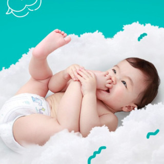 Pampers 帮宝适 绿帮系列 拉拉裤 L60片*2包