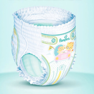 Pampers 帮宝适 绿帮系列 拉拉裤 XL64片*4包