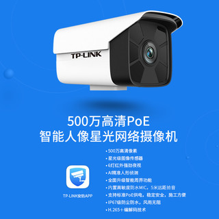 TPLINK 300万像素室外网络摄像头红外拾音DC供电有线监控高清夜视 TL-IPC534HS-4  500万|POE供电|星光夜视|拾音 6MM