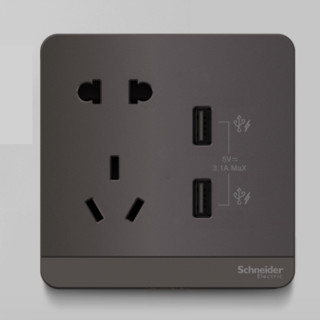 Schneider Electric 施耐德电气 AvatarOn绎尚系列 E83426102USB_SL 五孔带双USB插座 荧光灰色