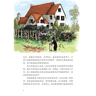 《兔子坡》（中国妇女出版社）