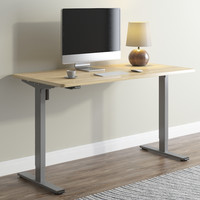 Loctek 乐歌 E2S 电动升降电脑桌 银灰+原木色 1m 直角款