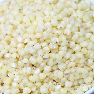 万谷食美 高粱米白高粱米2斤  五谷 杂粮 粗粮 真空装 大米 粥米伴侣