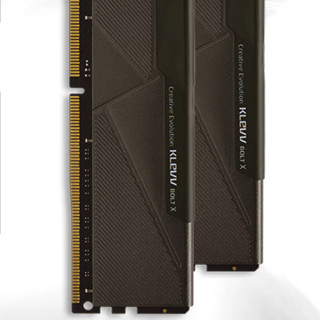 KLEVV 科赋 雷霆BOLT X系列 DDR4 3200MHz 台式机内存 马甲条 黑色 16GB 8GB*2 KD48GU880-32A160U