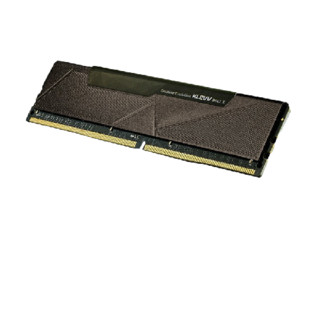 KLEVV 科赋 雷霆BOLT X系列 DDR4 3200MHz 台式机内存 马甲条 黑色 16GB KD4AGU880-32A160T