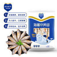 鲜到鲜得 海捕小黄鱼 26-28条 800g