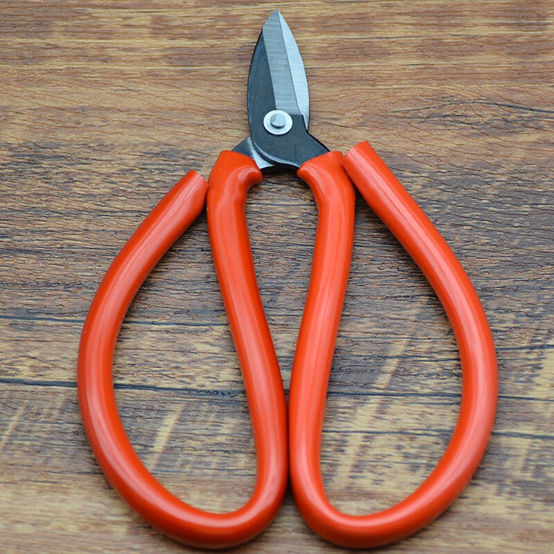 小剪刀剪指甲挺好的