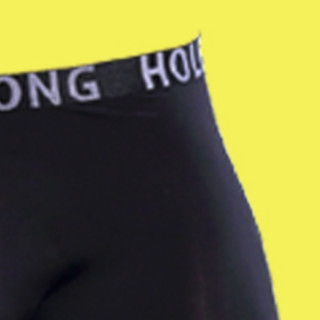 Holelong 活力龙 男士平角内裤 HCP086 黑色 XL