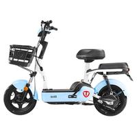 TAILG 台铃 小蜜桃 电动自行车 TDTCB5Z 48V12Ah铅酸电池 天蓝色