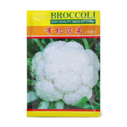 兰花种子 乐子君西兰花种籽松花菜白菜花种子有机蔬青甘蓝包菜花菜种籽花籽孑西蓝花蔬菜种子有机花菜多少钱 什么值得买