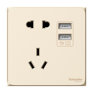 Schneider Electric 施耐德电气 皓呈系列 A3T42610U2_WG_C1 五孔双USB插座 珍珠金