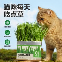 YANXUAN 网易严选 猫用无土懒人猫草