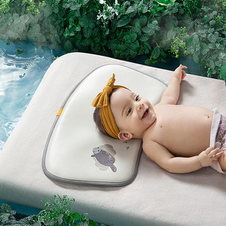 babycare 宝宝冰丝枕婴儿枕头新生儿儿童枕护头小枕头可机洗夏季 安道尔水獭-55*30cm